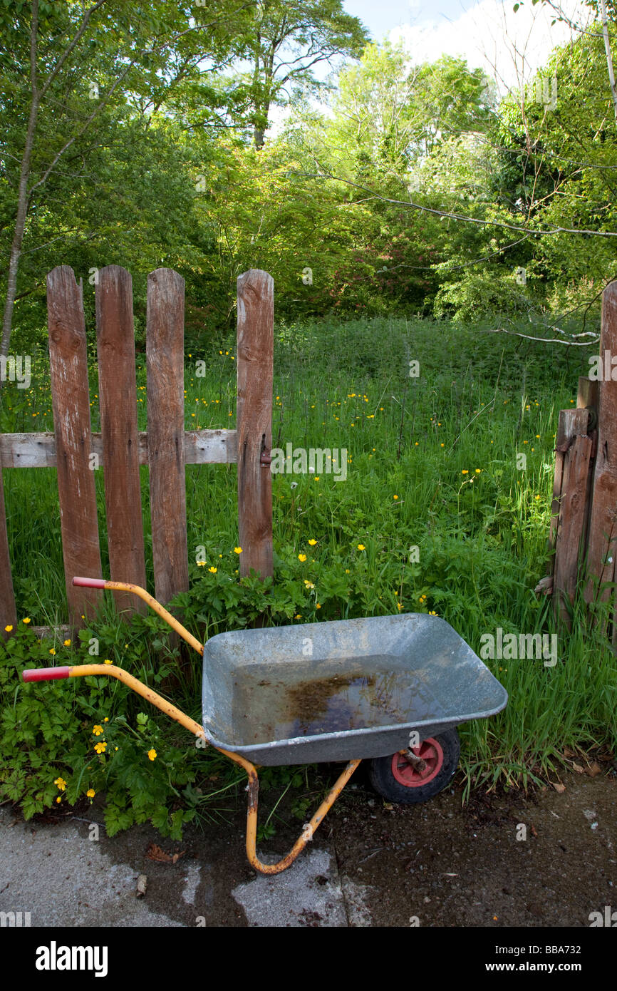 Wheel Barrow with Overgrown Grass and Weeds in Back Garden Stock Photo