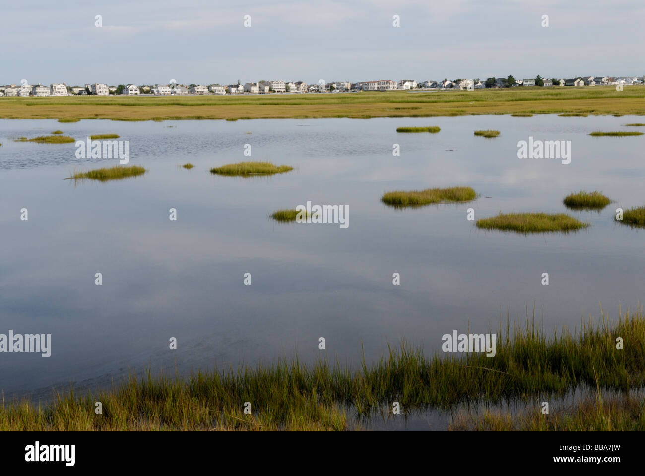 Coastal salt marsh with heavily developed barrier island in the background Stone Harbor New Jersey Stock Photo