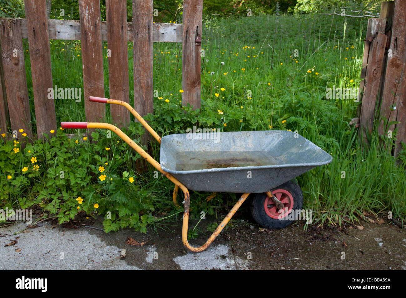 Wheel Barrow with Overgrown Grass and Weeds in Back Garden Stock Photo