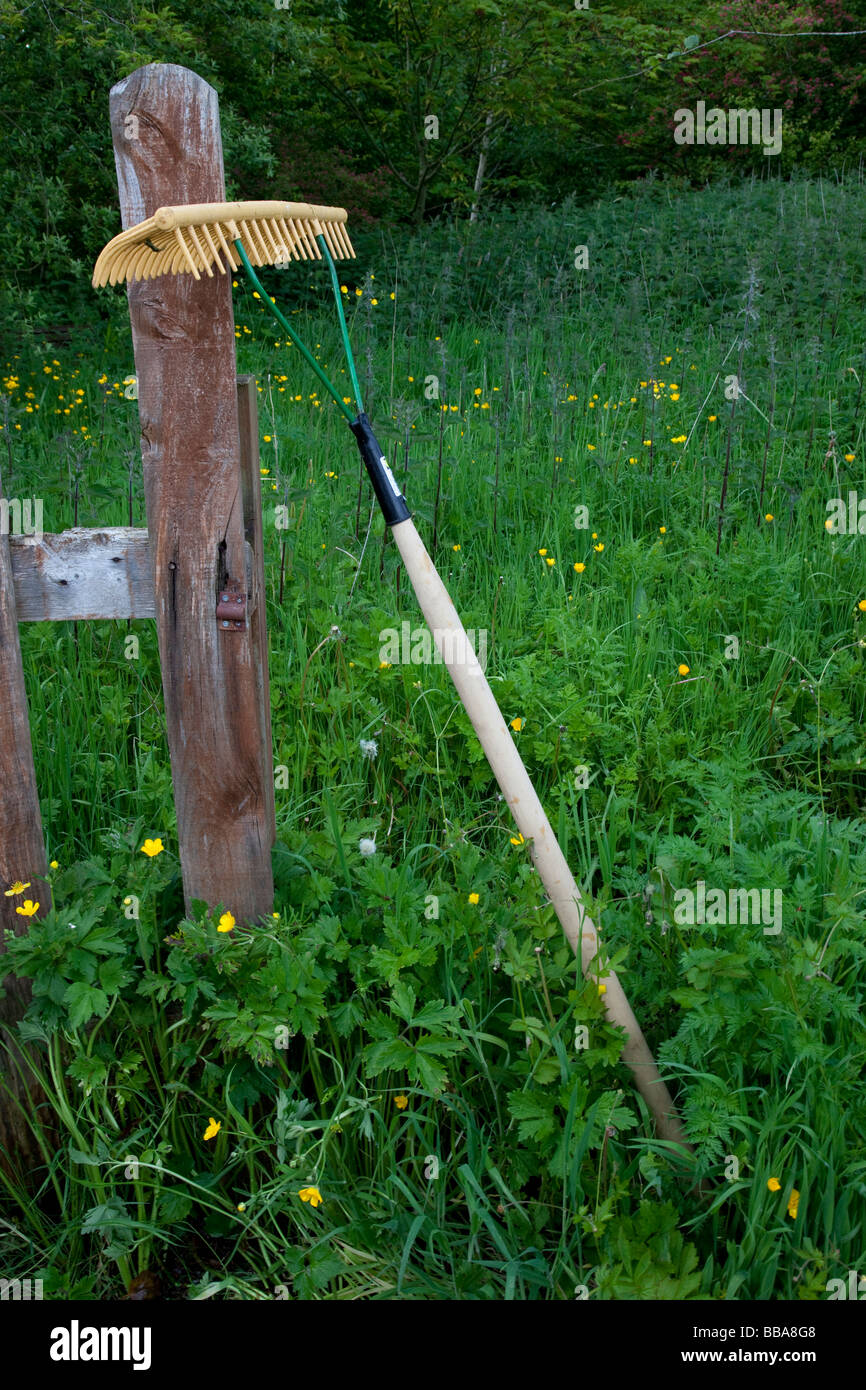 Grass Rake with Overgrown Grass and Weeds in Back Garden Stock Photo