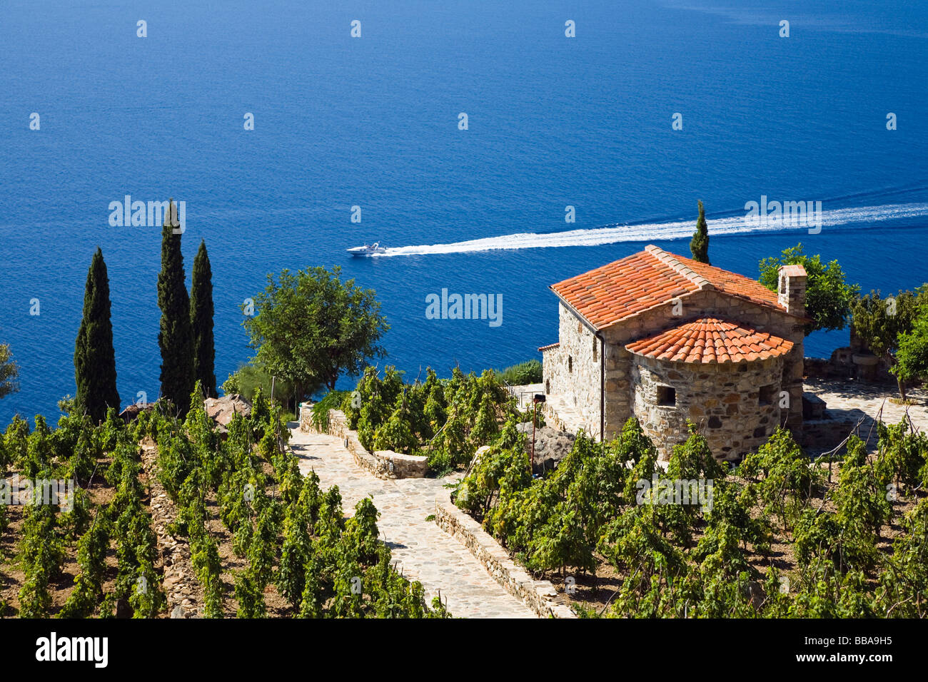 Small villa and vineyard above the coast near Colle d'Orano, Elba
