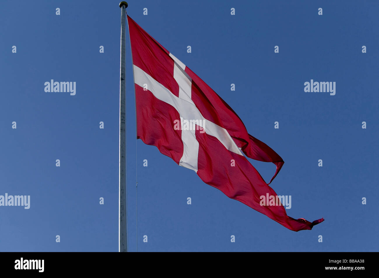 Danish flag Stock Photo