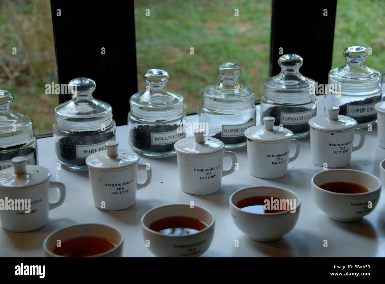 Tea tasting, little bowls, Handunugoda Tea Estate, Tittagalla, Ceylon, Sri Lanka, South Asia, Asia Stock Photo