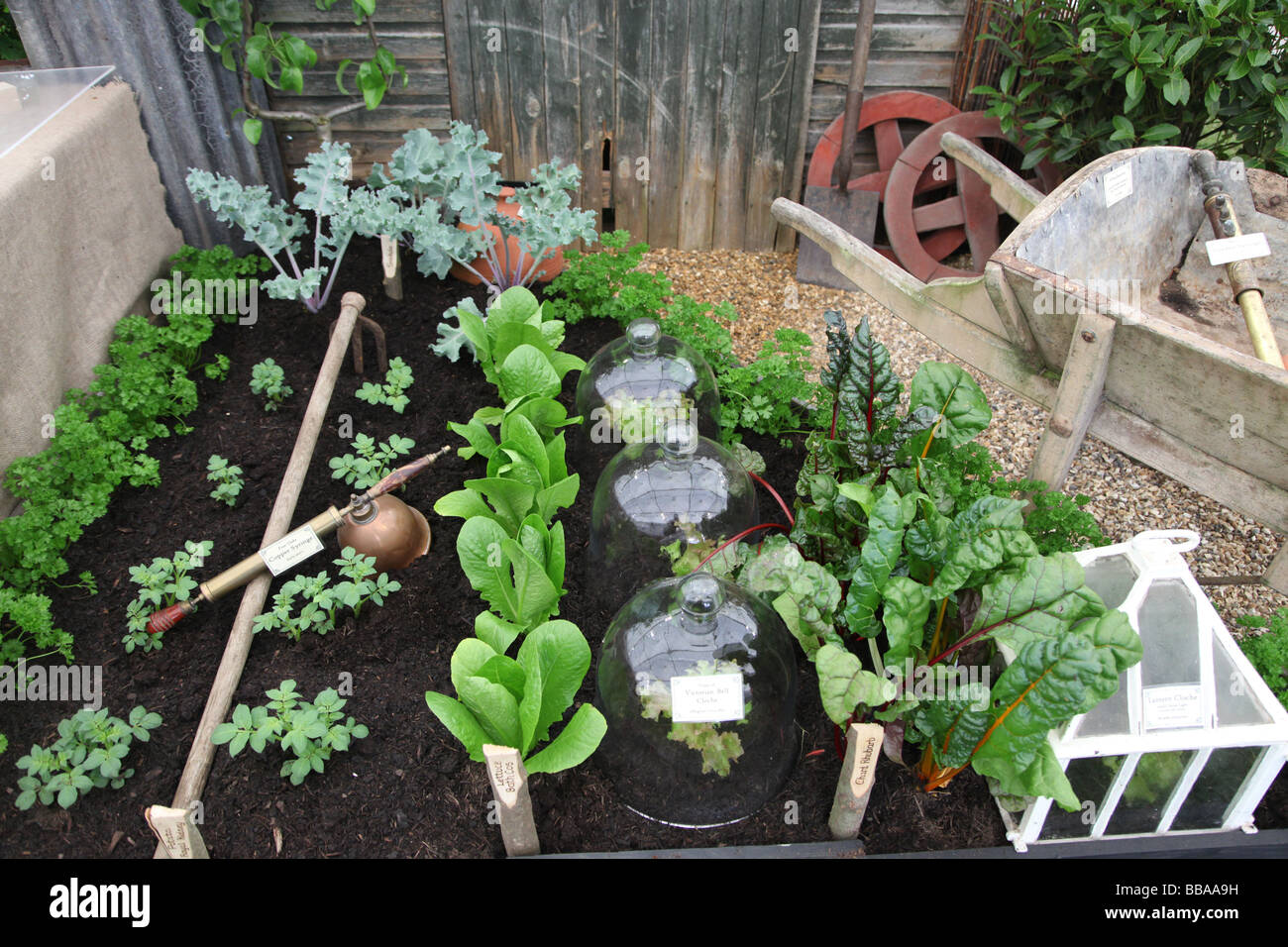 Chelsea veggie garden hotsell