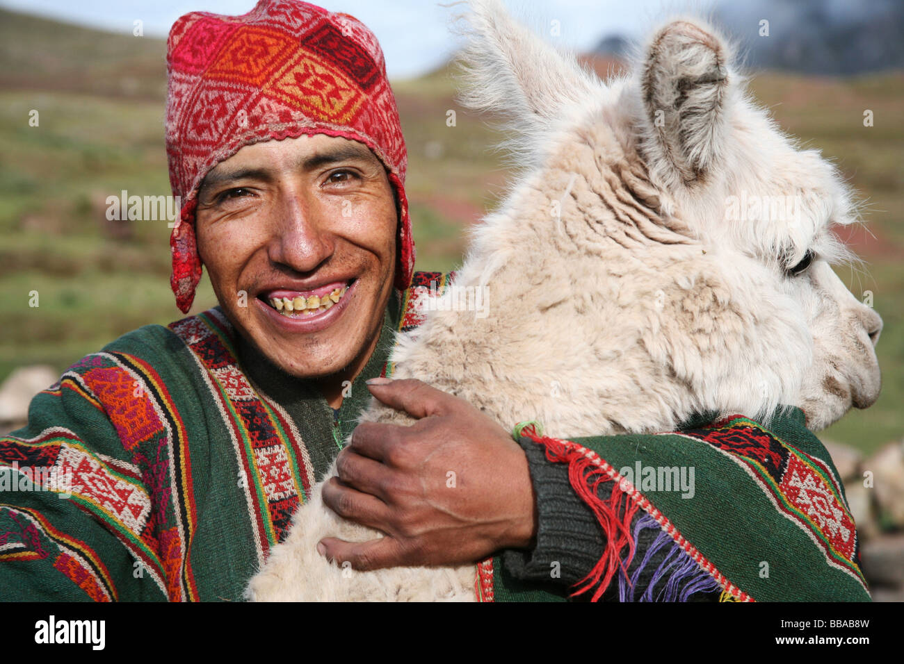 Kamayoq with his Alpaca named GAMARRA, Male Improved DNA Reproducer, Palccoyo Canchis, Peru, South America Stock Photo