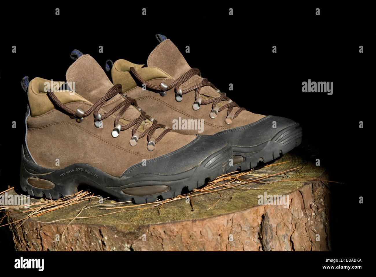 A pair of hiking boots on a cut tree stump. Stock Photo