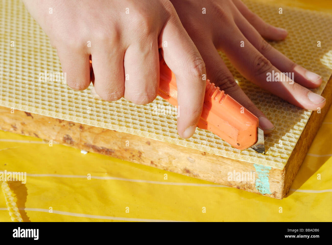 A honeycomb base being cut by a knife to fit the frame's format Stock Photo