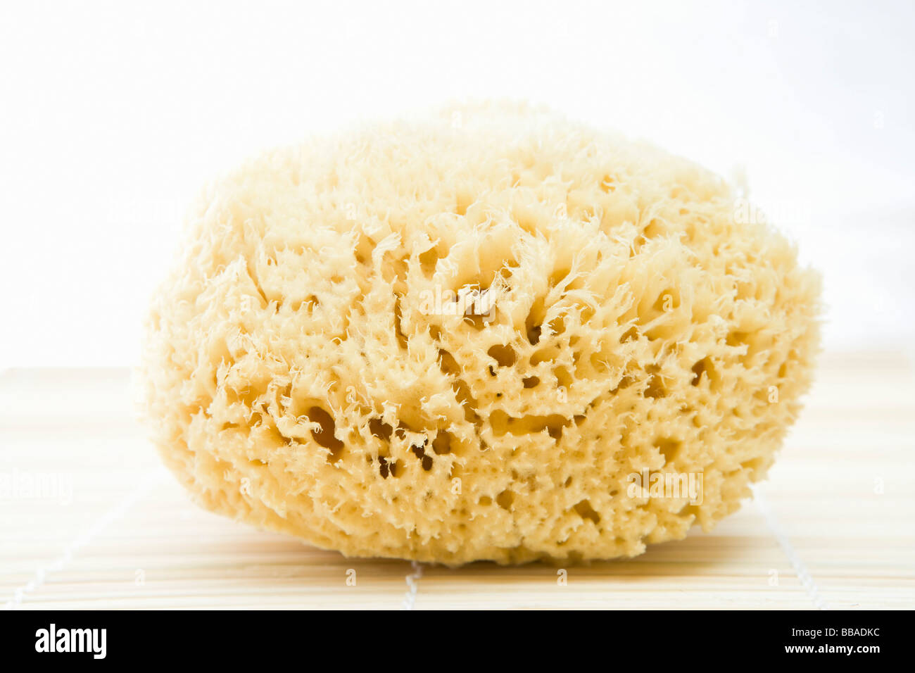 Bath sponge hires stock photography and images Alamy