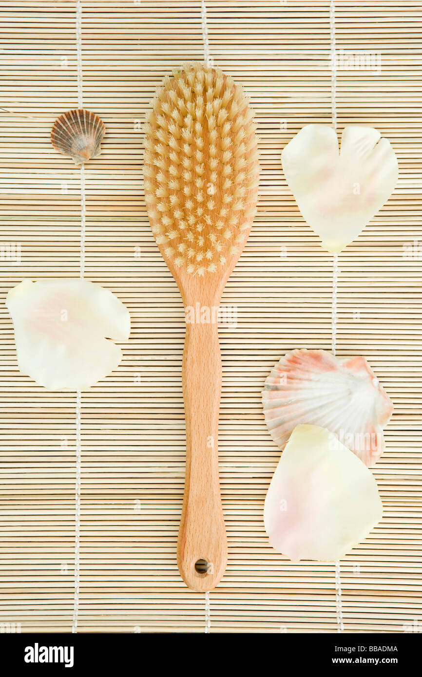 Body brush hi-res stock photography and images - Alamy