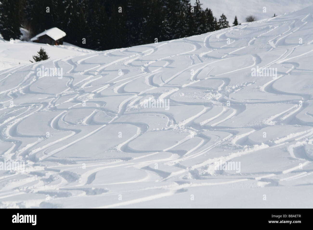 Ski tracks on mountain slope, Graubuenden, Switzerland Stock Photo
