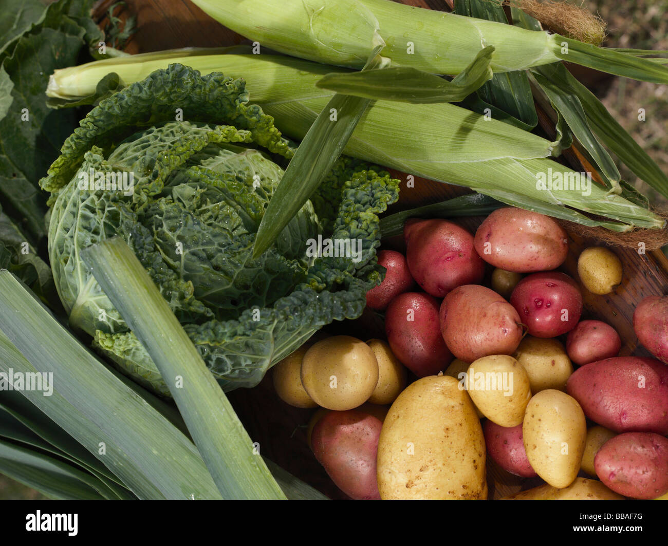 Selection of fresh vegetables Stock Photo Alamy