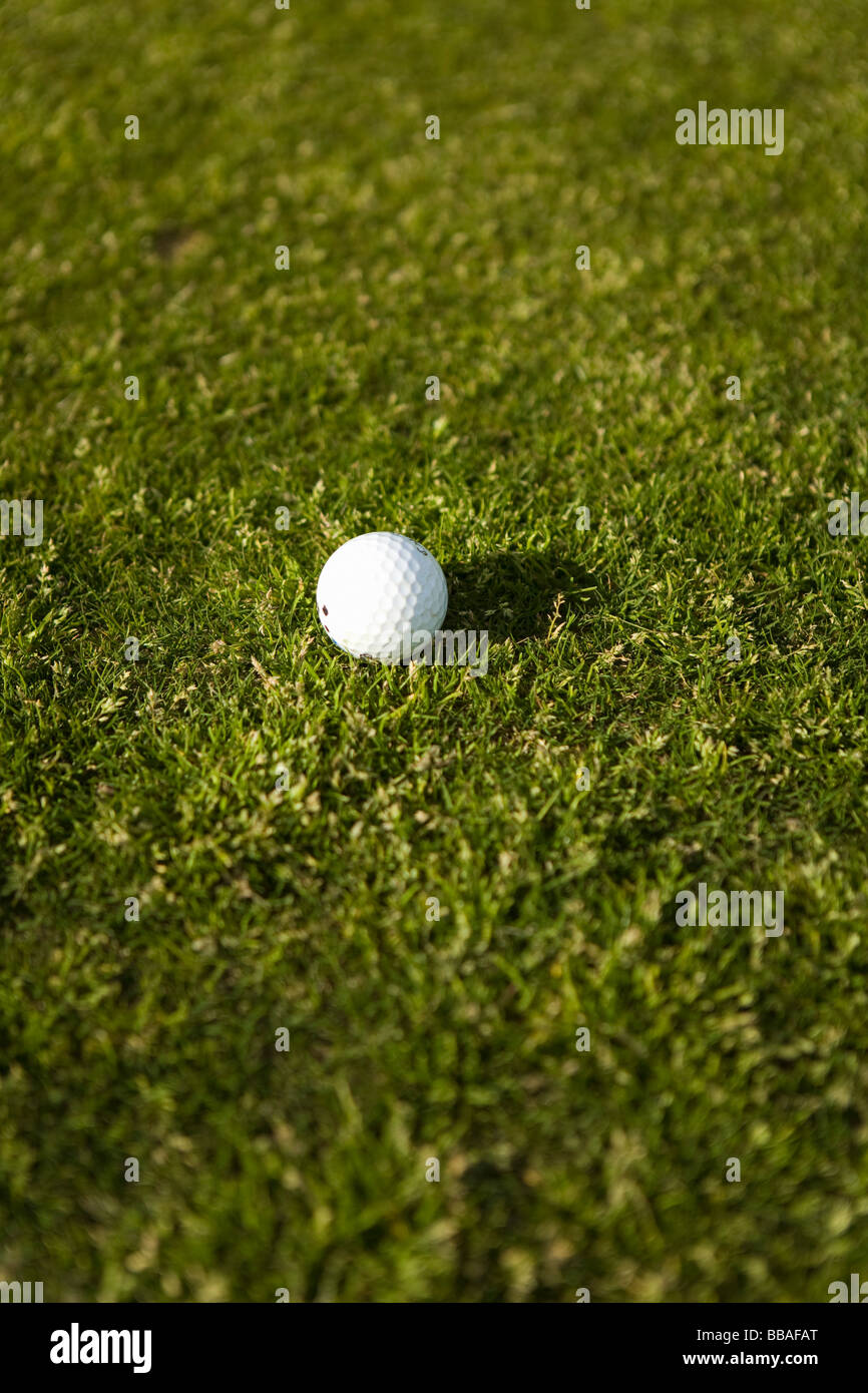 A golf ball on grass Stock Photo Alamy