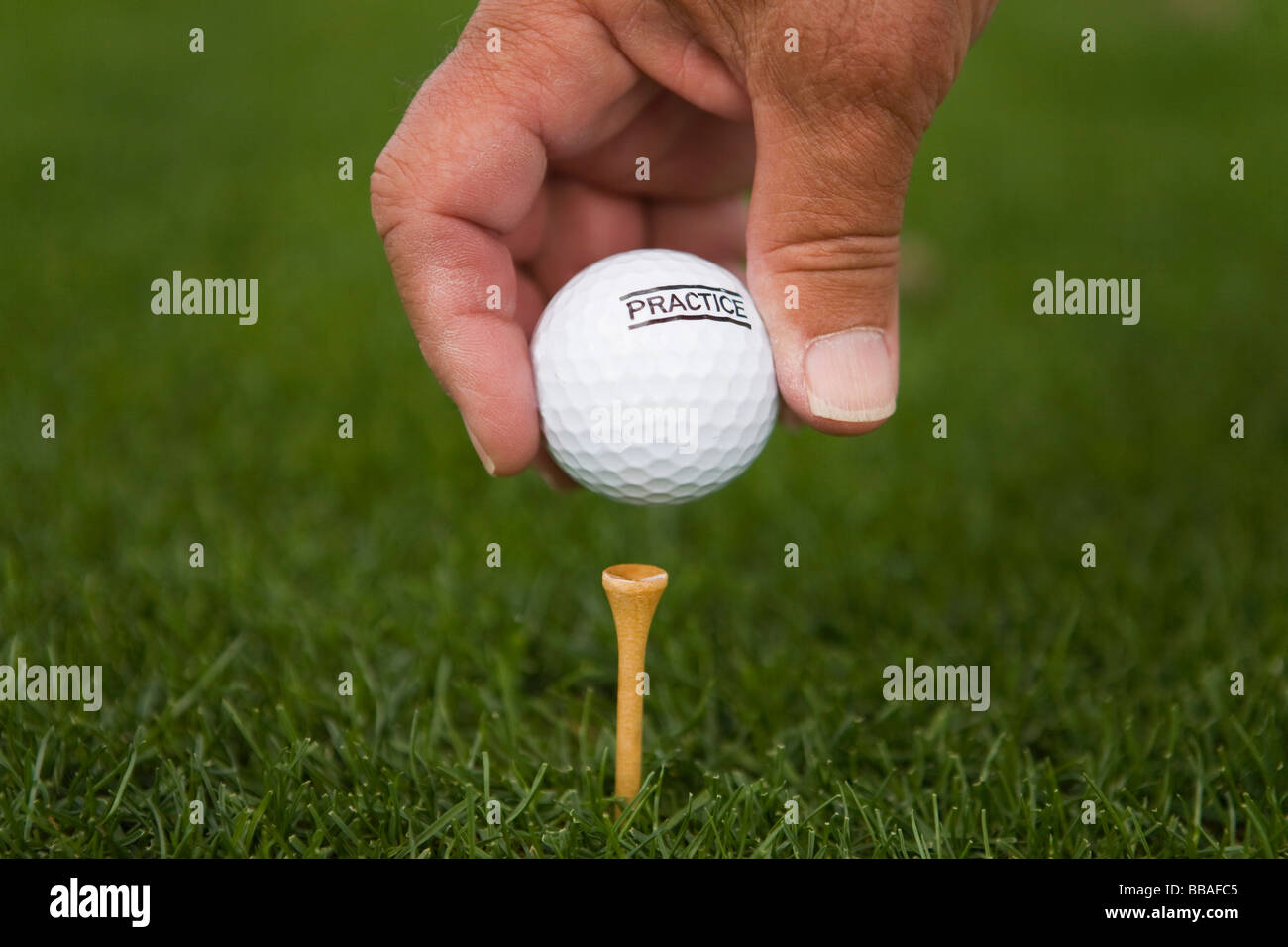 Detail of a golfer placing a golf ball on a tee Stock Photo Alamy