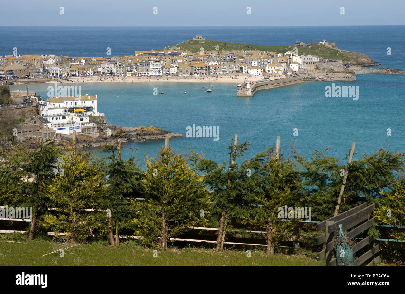 View of St Ives from Tregenna Castle Estate, St Ives Cornwall Stock Photo