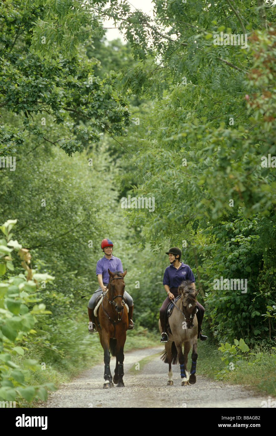 Hacking in the woods hi-res stock photography and images - Alamy