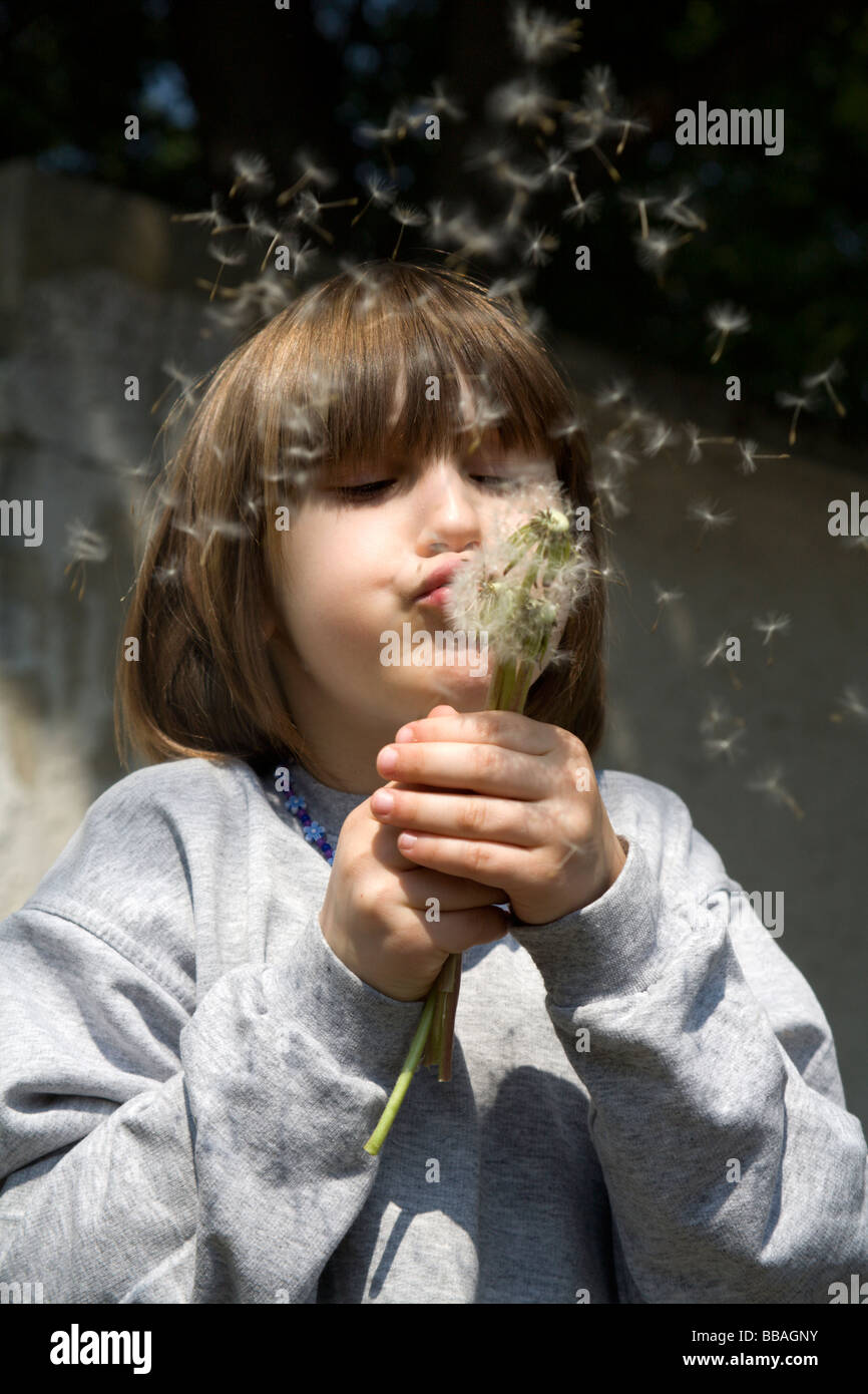 little girl and dandelion Stock Photo