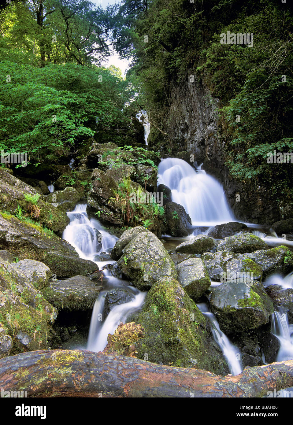 Lodore Falls, Derwent Water, Lake District National Park, Cumbria, England Stock Photo