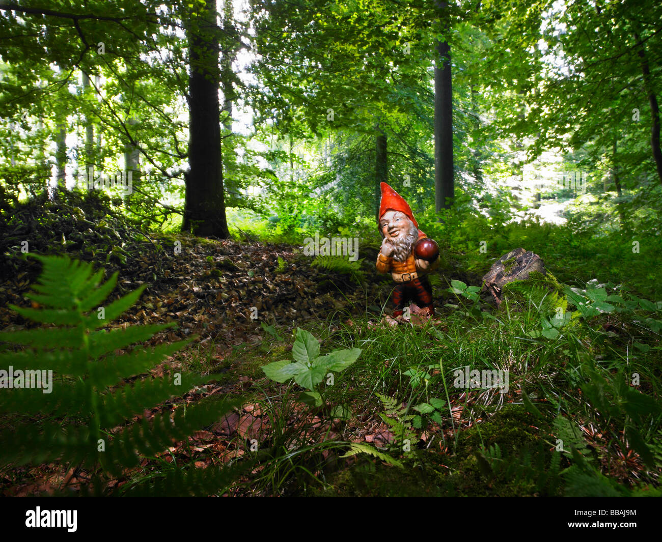 A Garden gnome in the woods Stock Photo