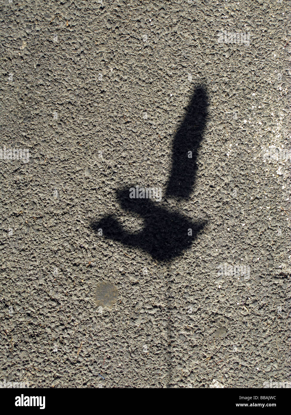 shadow of toy goose duck model on street road surface Stock Photo - Alamy