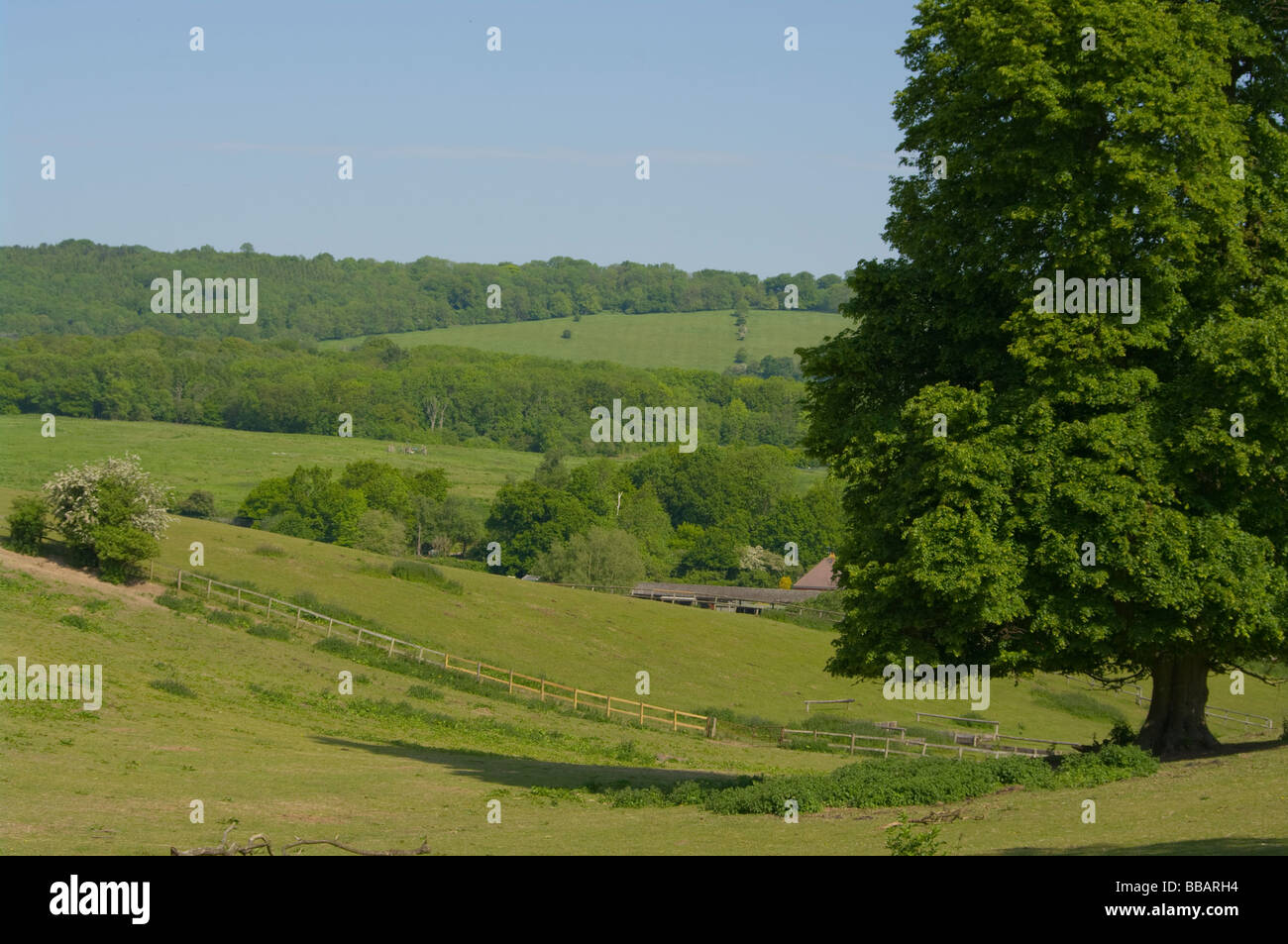 A View Up To The North Downs From Tandridge Surrey England Stock Photo