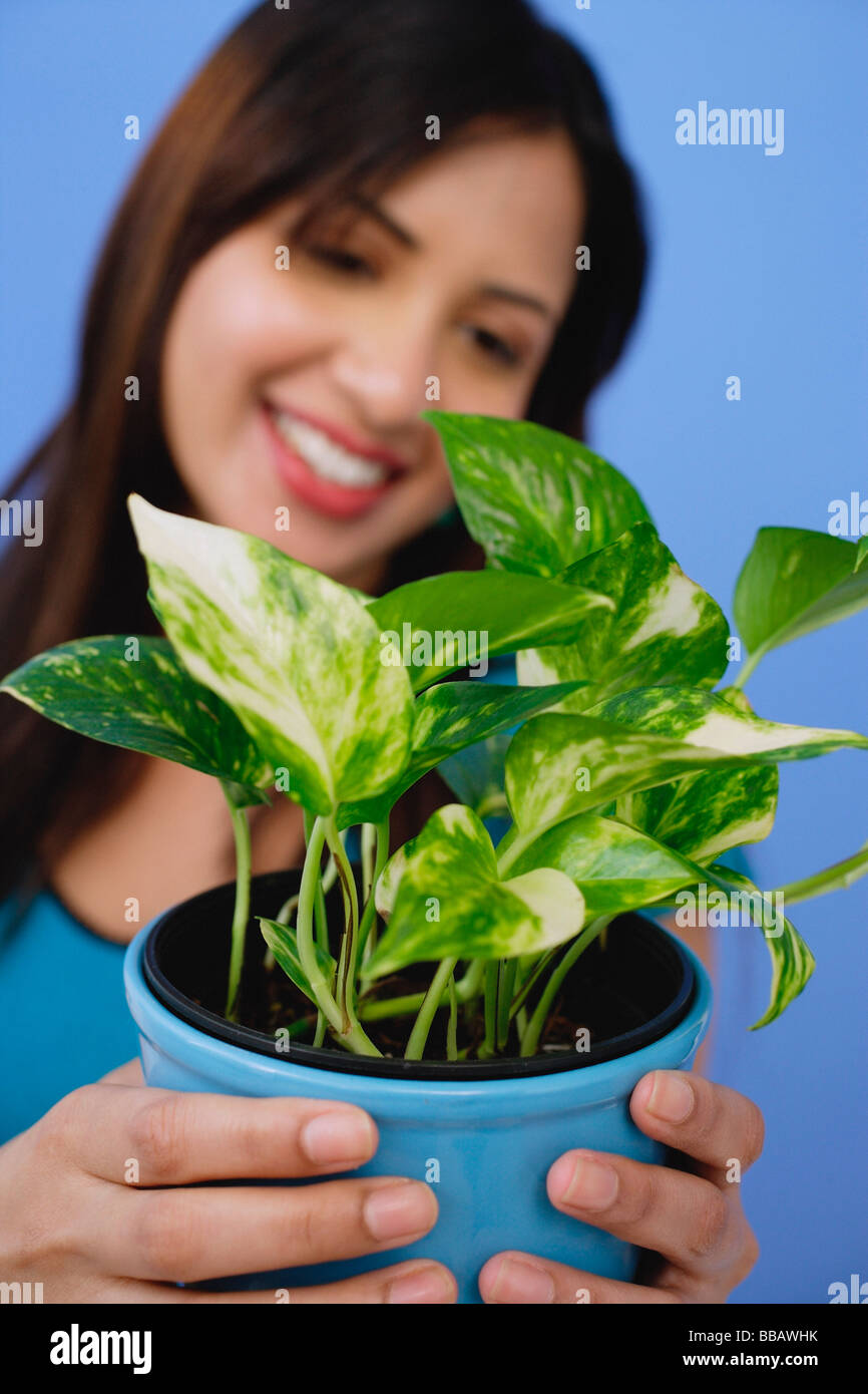 Woman holding potted plant Stock Photo - Alamy
