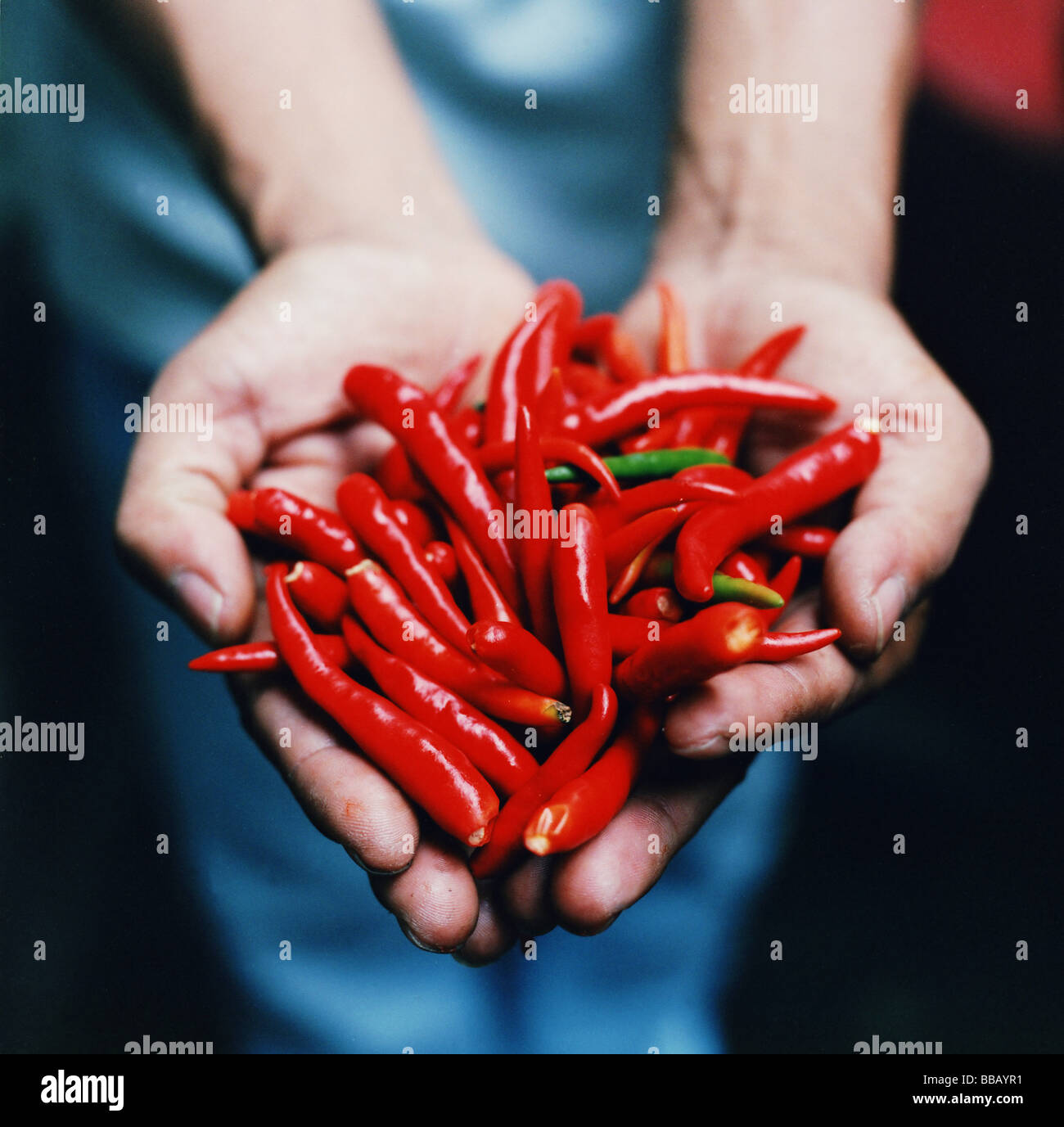 Thailand chillies hi-res stock photography and images - Alamy