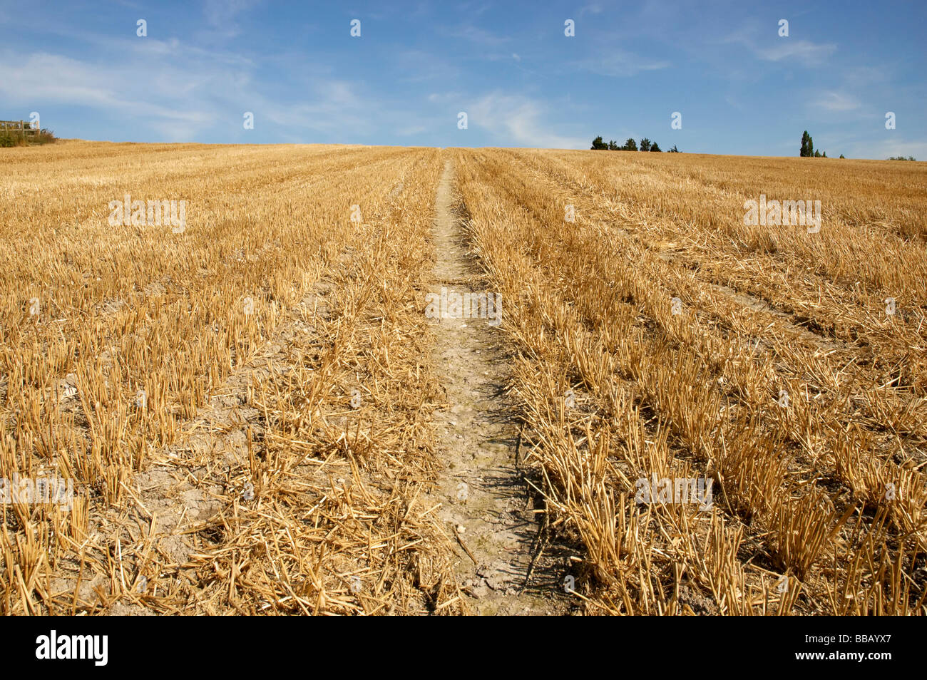 summer landscape with hay bales and deep blue skyscape Stock Photo - Alamy