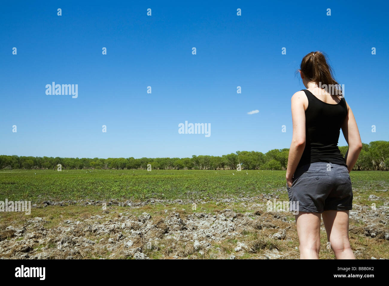 A tourist looks out over a dry floodplain in Kakadu National Park, Northern Territory, AUSTRALIA Stock Photo
