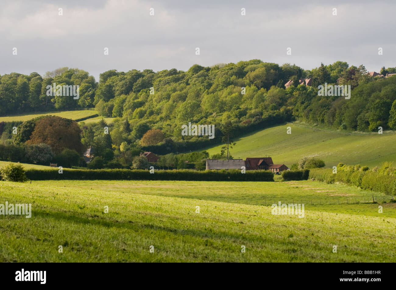 VIEW ACROSS LOWER PEDNOR, CHESHAM, IN THE CHILTERN HILLS, ENGLAND Stock
