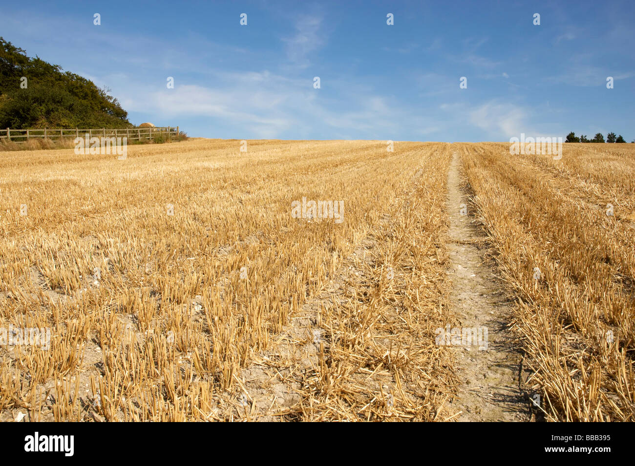 summer landscape with hay bales and deep blue skyscape Stock Photo - Alamy