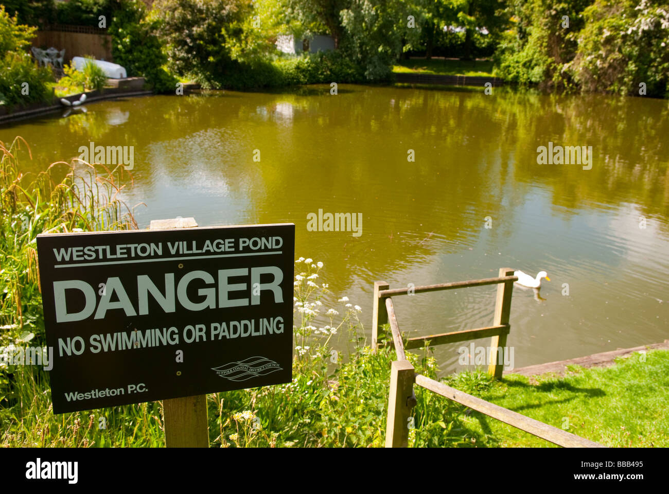 A sign saying danger no swimming or paddling  at the village pond in Westleton,Suffolk,Uk Stock Photo