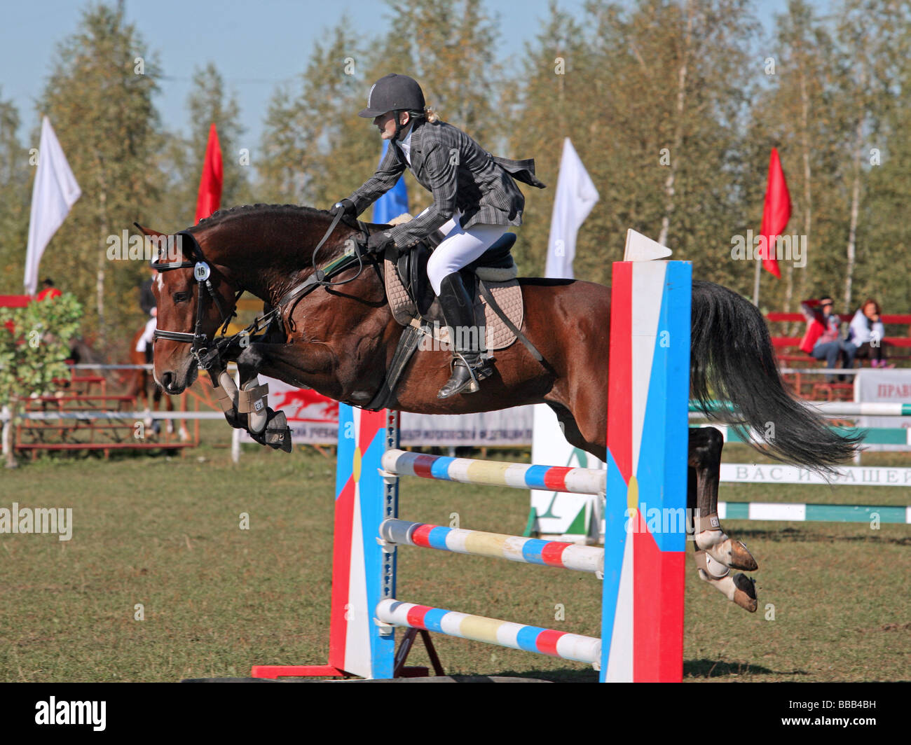 Equestrian sport horse riders show jumping competition horse jumping over jumps Stock Photo Alamy