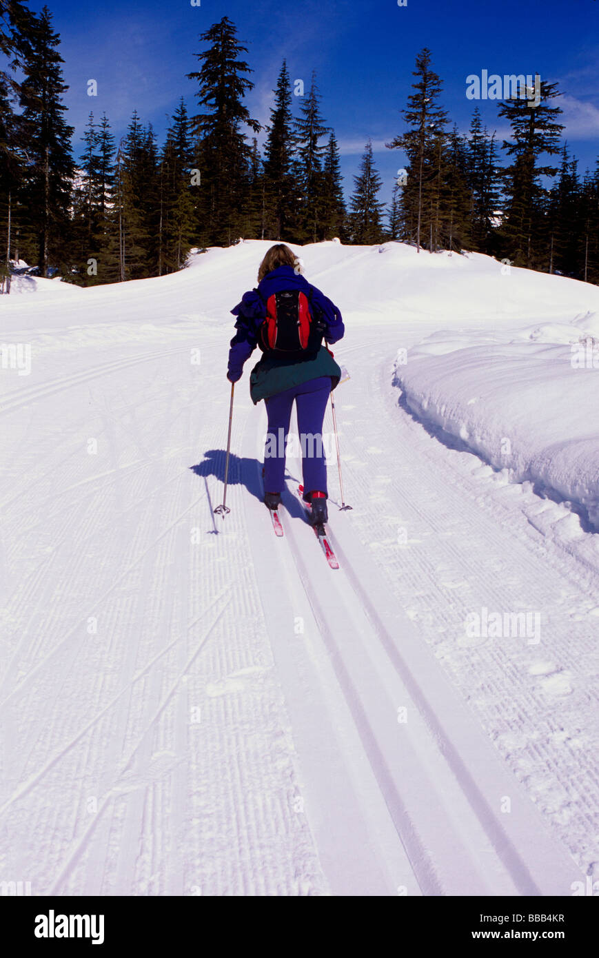 Cross Country Skier skiing on Ski Tracks at Whistler Olympic Park