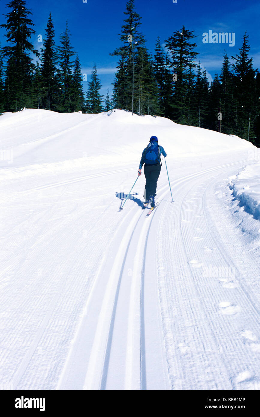 Cross Country Skier skiing on Ski Tracks at Whistler Olympic Park Site of Vancouver 2010