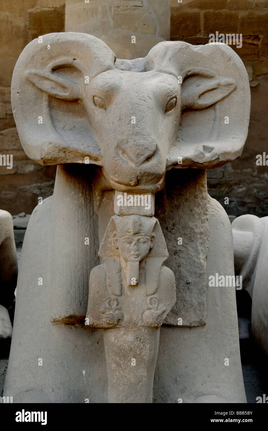 Temple of amon hi-res stock photography and images - Alamy
