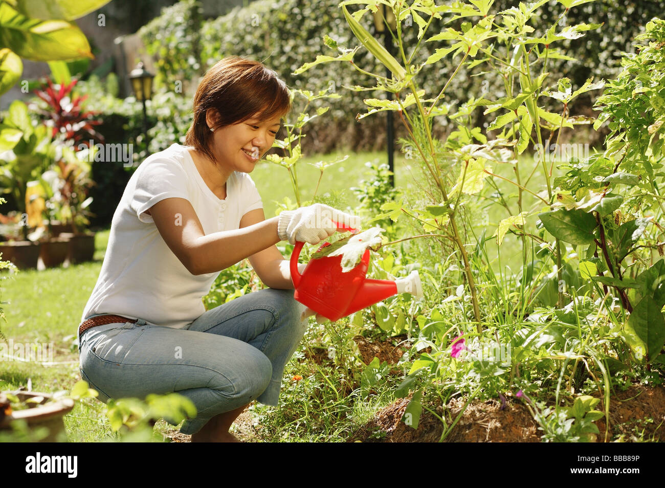 Woman watering plants in garden Stock Photo - Alamy