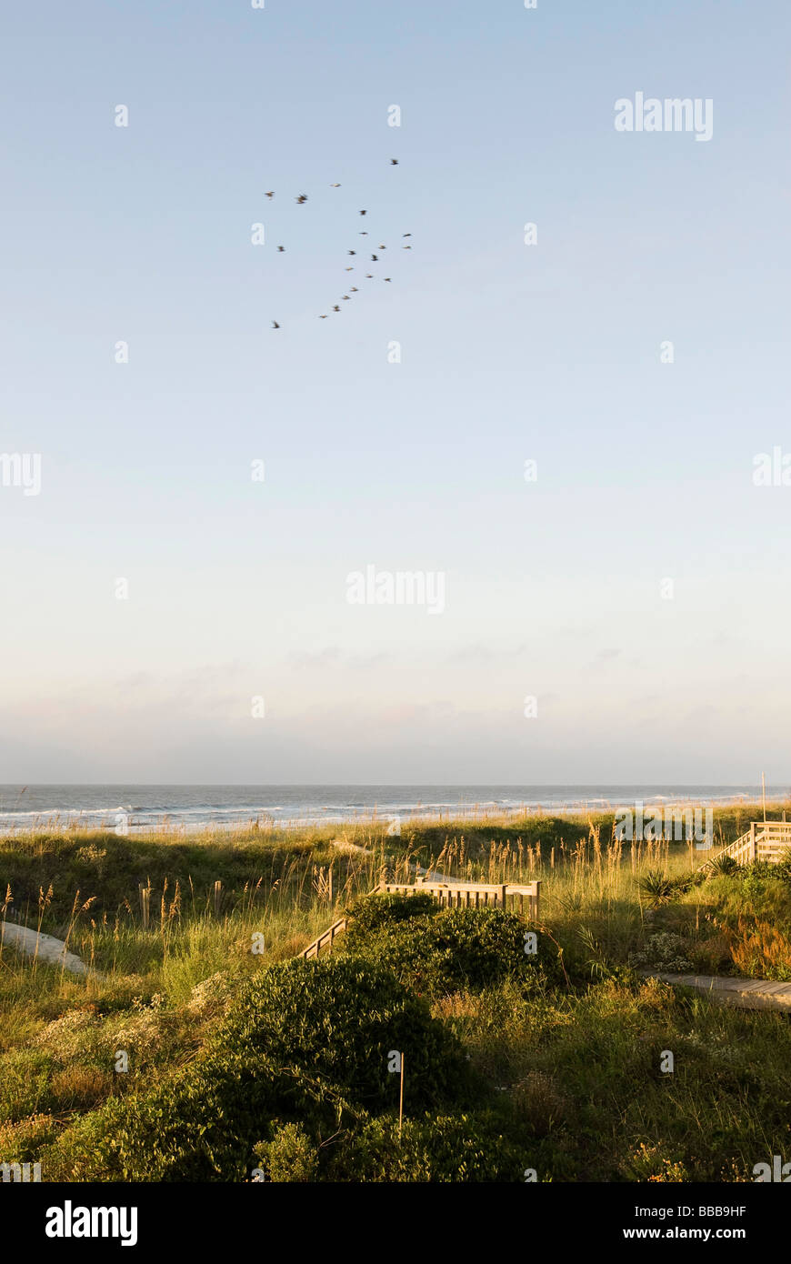 Coastal dunes from ocean hi-res stock photography and images - Alamy