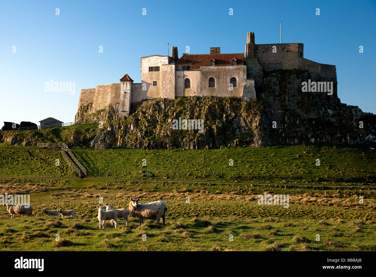 Lindisfarne Castle Holy Island Northumberland England Stock Photo