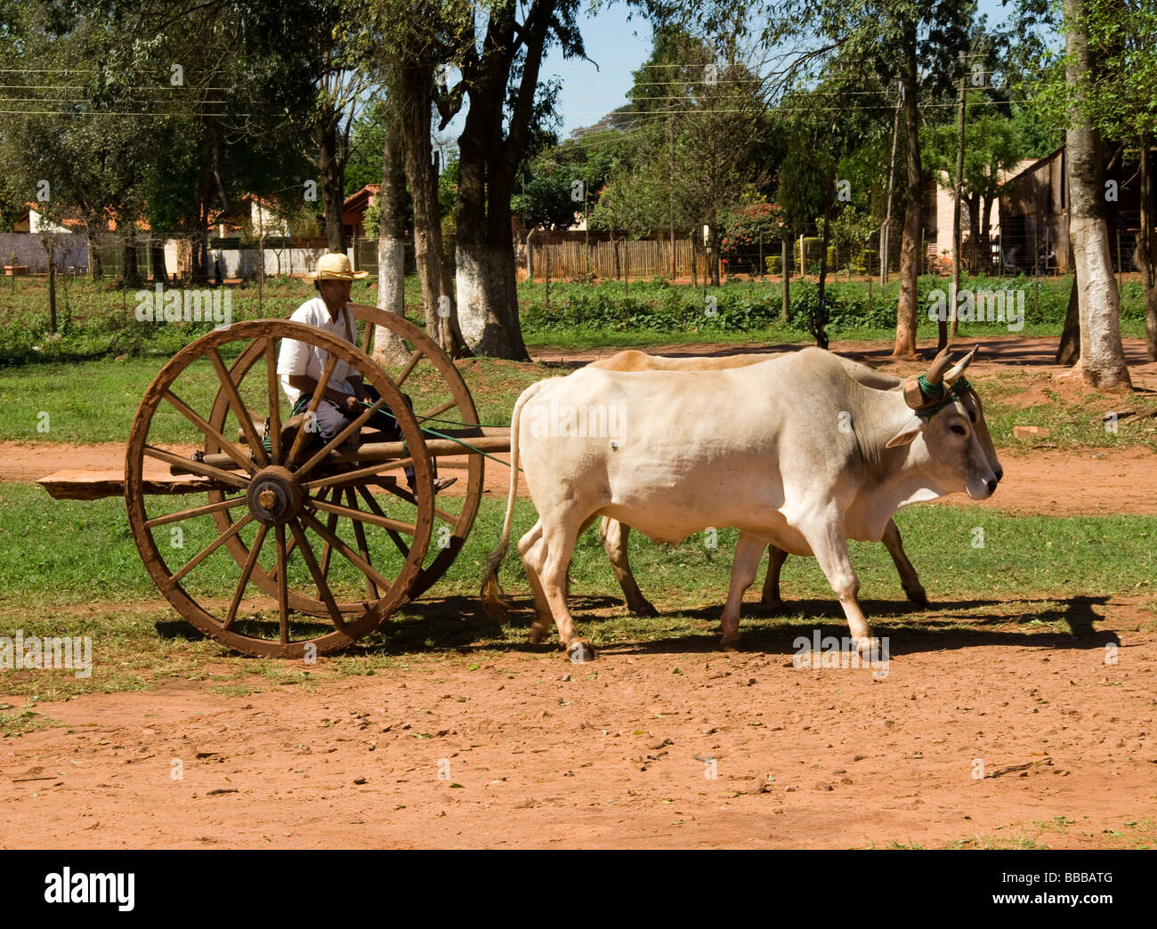 Paraguay.Traditional Oxcart Stock Photo - Alamy