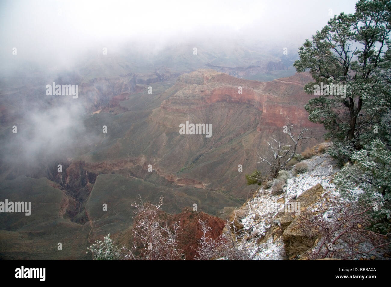 Snow storm at the South Rim of the Grand Canyon Arizona USA  Stock Photo