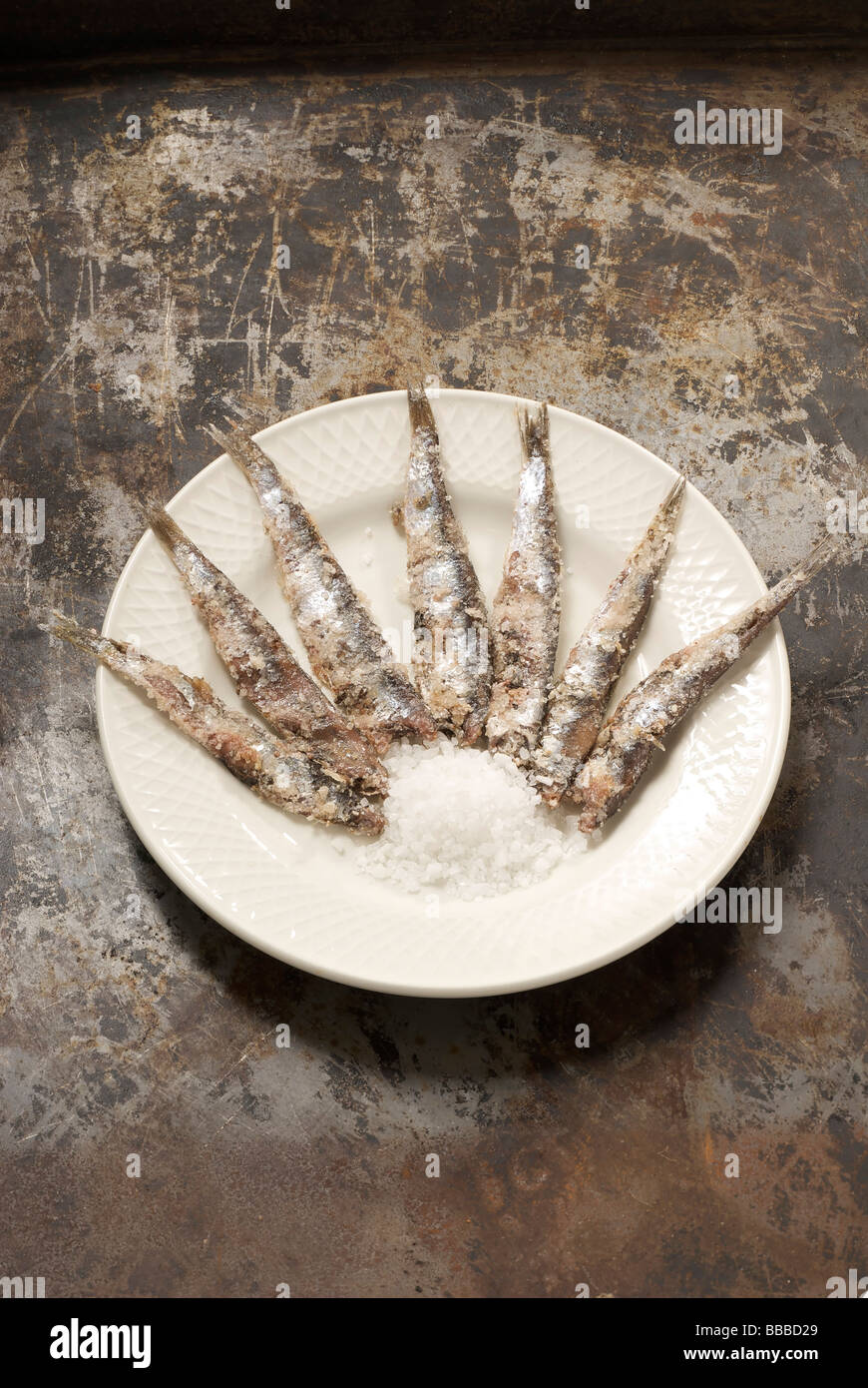 salted sardines Stock Photo