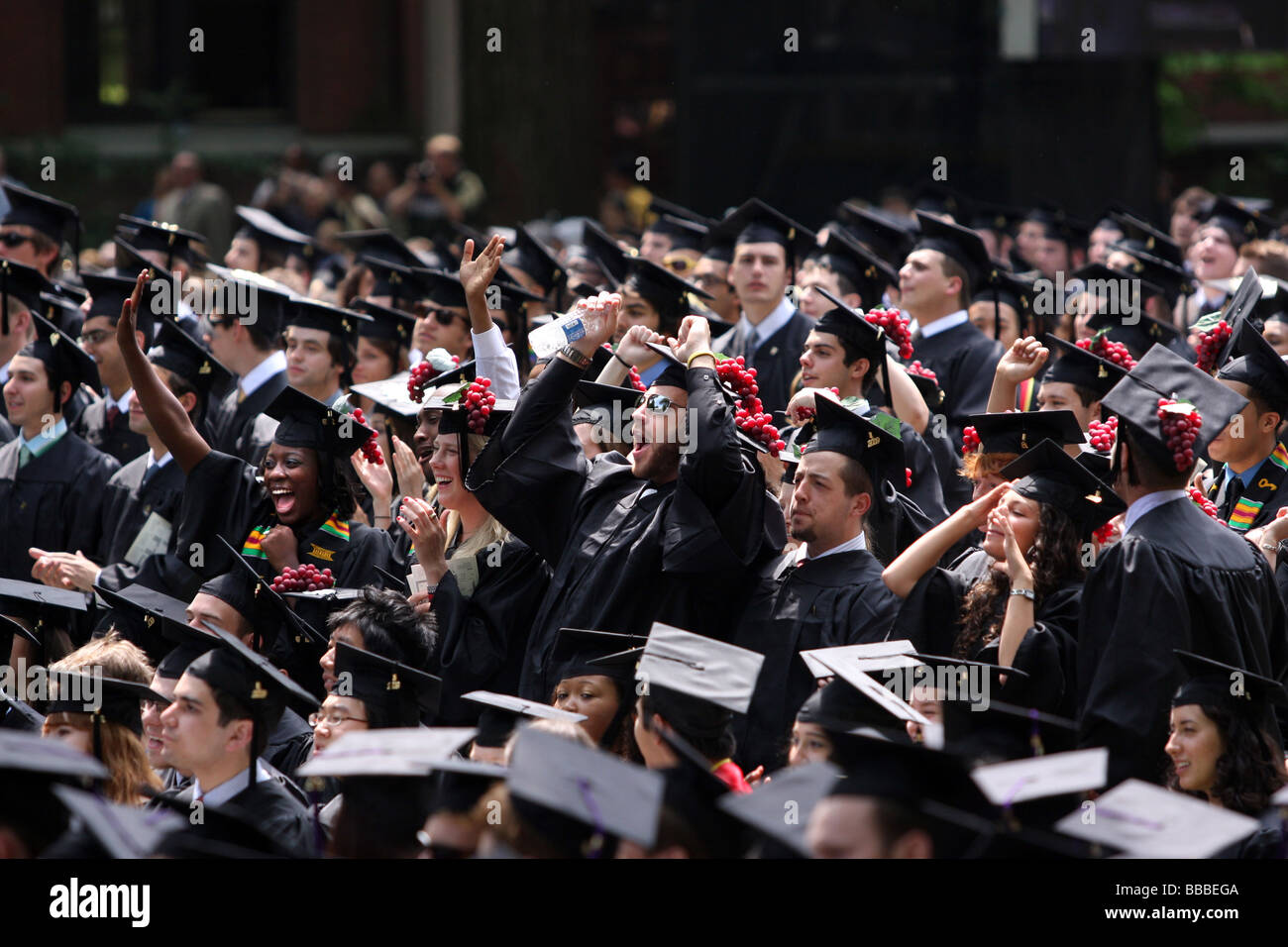 Yale University graduates cheer as they receive their degrees at Yale Commencement Ceremonies Stock Photo