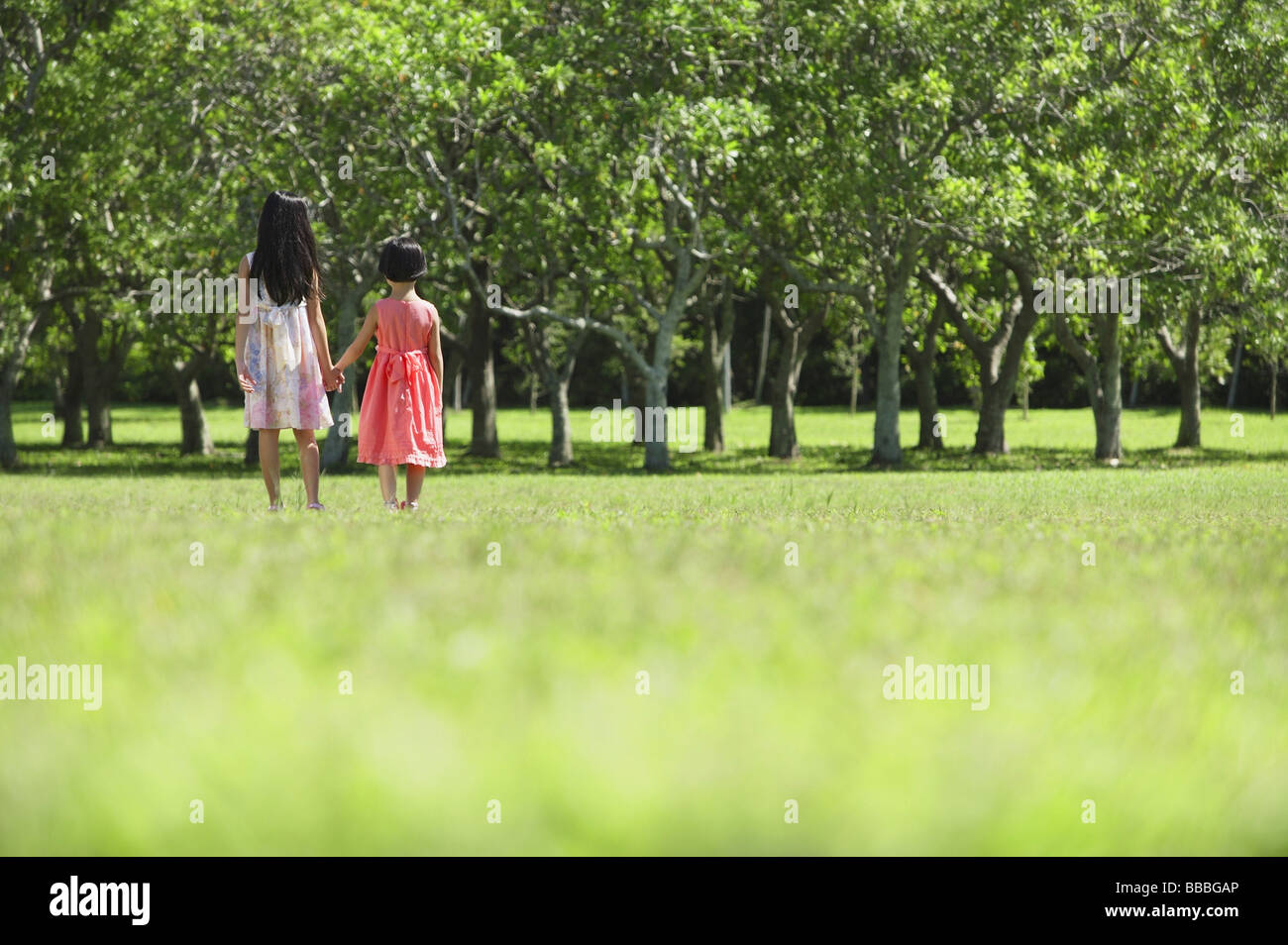 Girls walking hand in hand in park Stock Photo - Alamy
