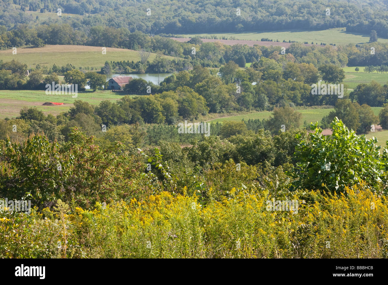 Natchez Trace Parkway, View from Water Valley Overlook ,Tennessee, USA