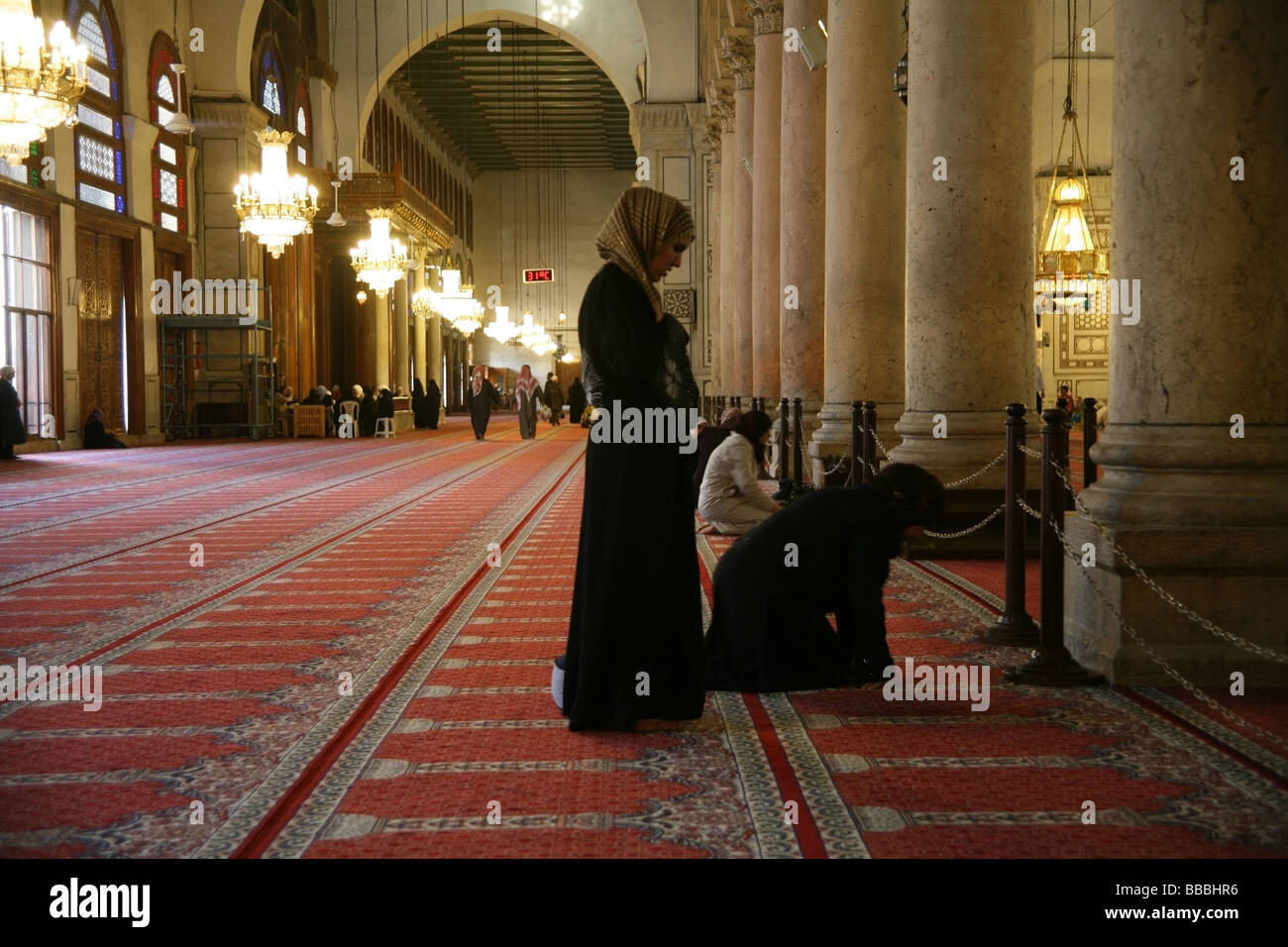 Women praying inside the Umayyad mosque Damascus Stock Photo Alamy