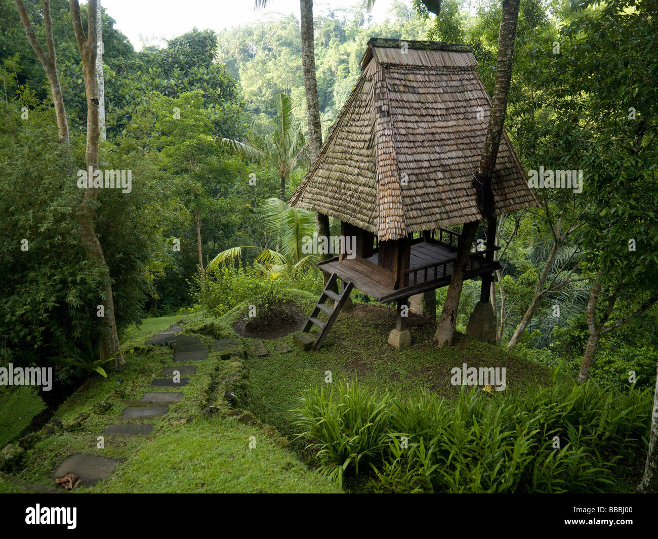 Wooden hut in forest; Stock Photo