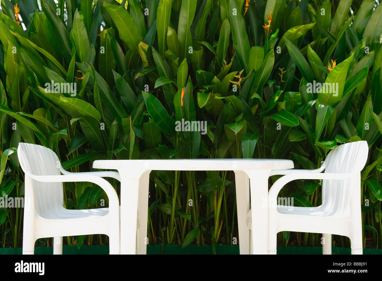 White garden chairs with table Stock Photo Alamy