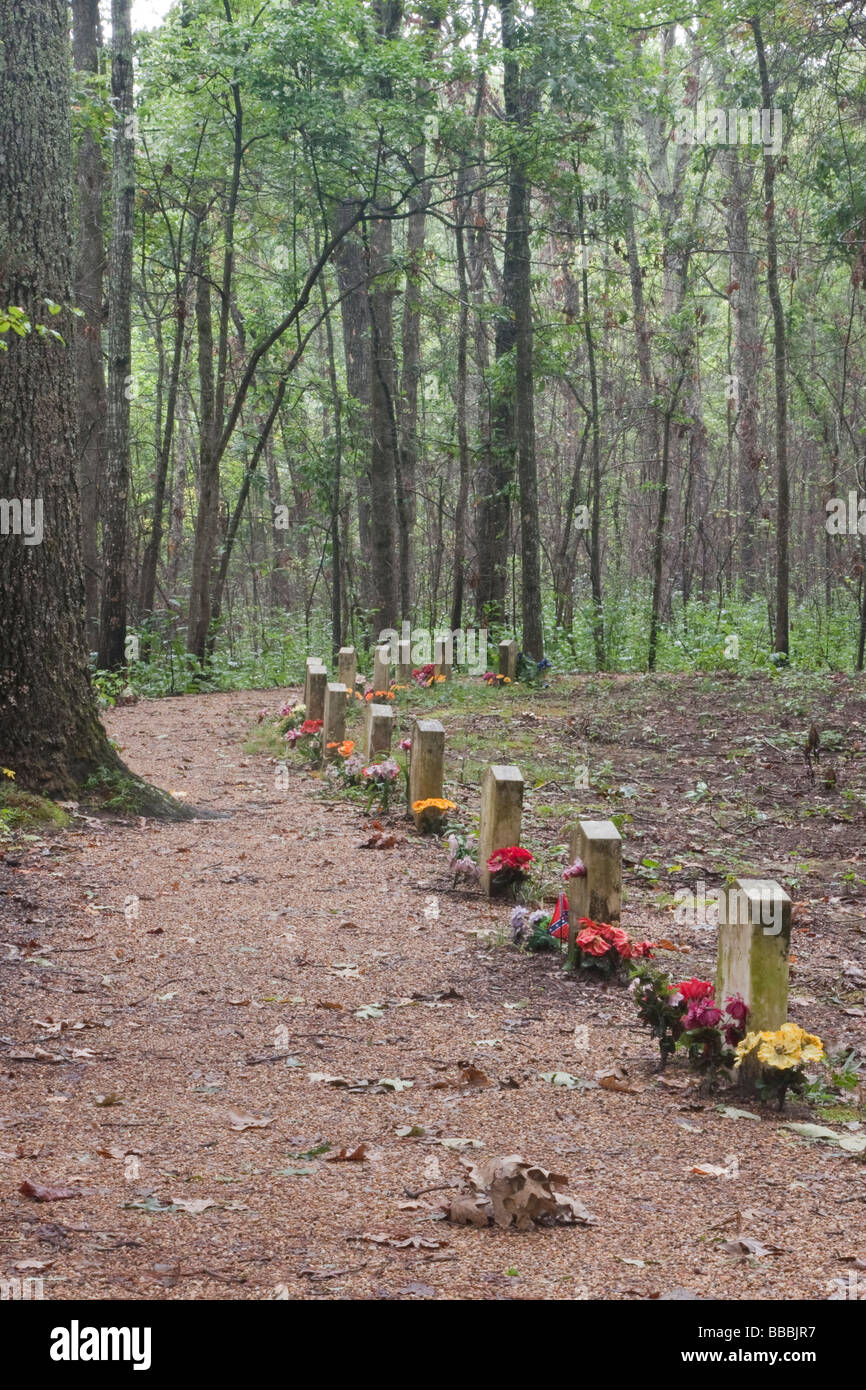 Natchez Trace Parkway, Mile 269, near Tupelo, Mississippi, USA
