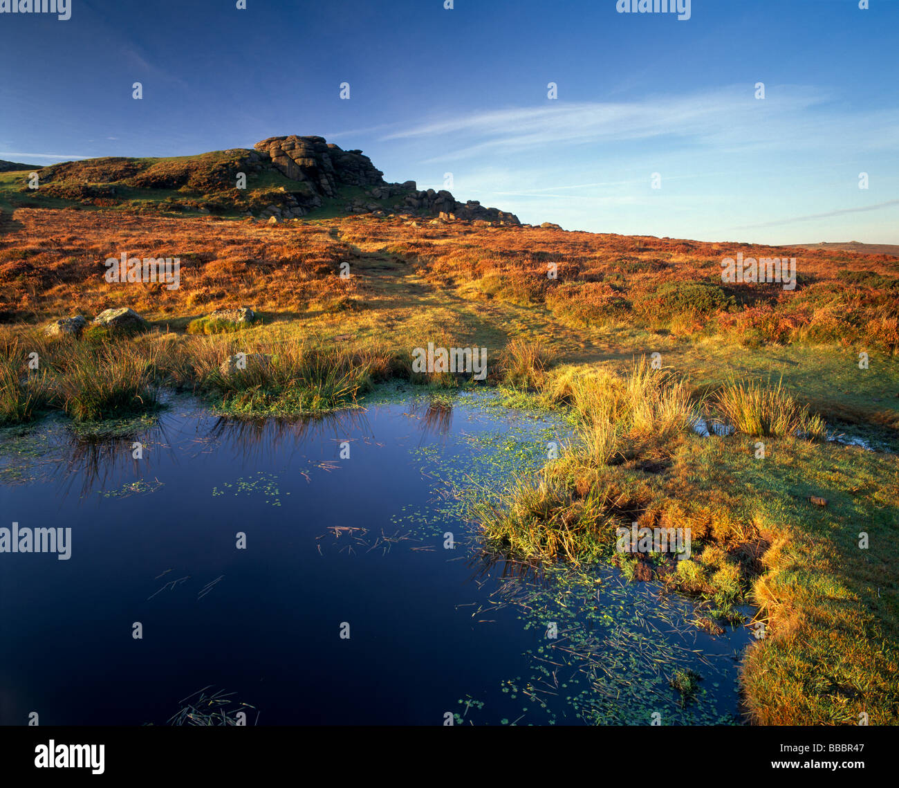 Saddle Tor and pond, Dartmoor, Devon, UK Stock Photo