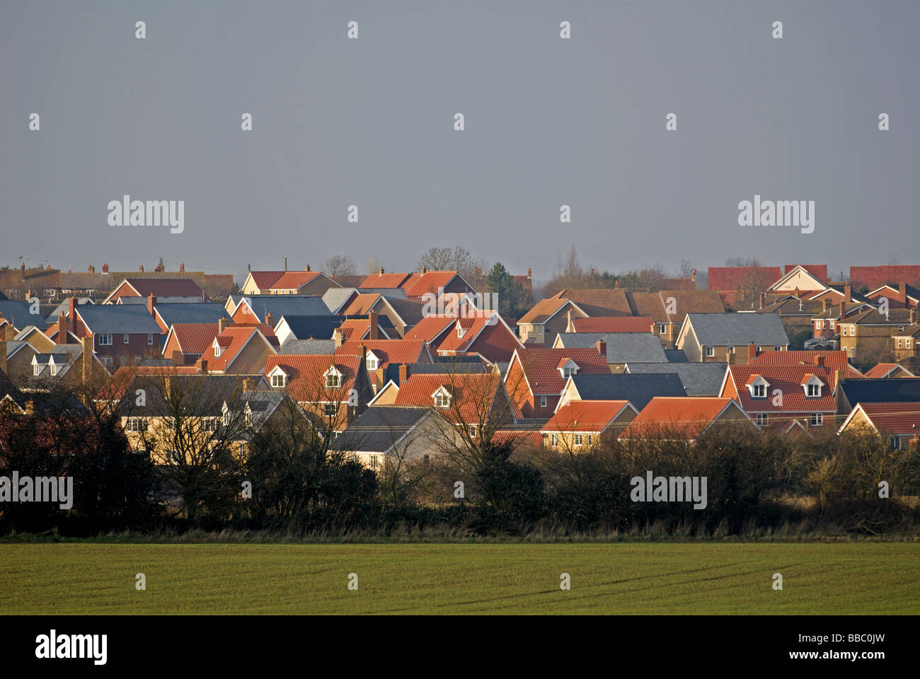 Newly built housing estate in the English countryside. Stock Photo